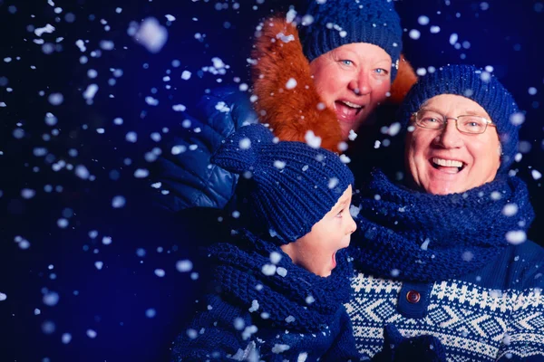 Sonrientes abuelos y nietos divirtiéndose bajo la nieve — Foto de Stock