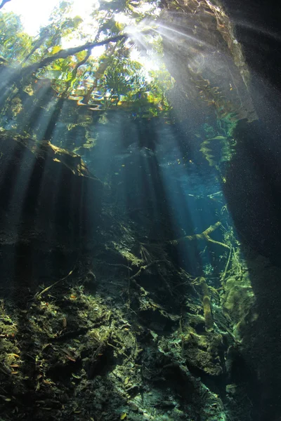 Cenote undervattensgrotta — Stockfoto