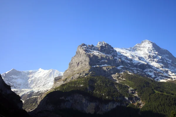 Eiger 山 — 图库照片