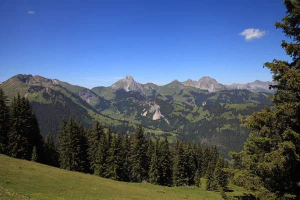 Montañas de los Alpes suizos — Foto de Stock