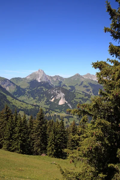 Mountains of the swiss alps — Stock Photo, Image