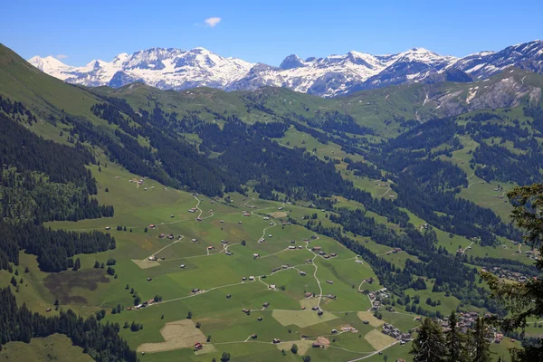 Valley of Lauenen — Stock Photo, Image