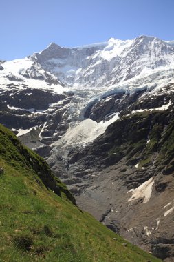 Grindelwald Buzulu