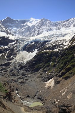 Grindelwald Buzulu