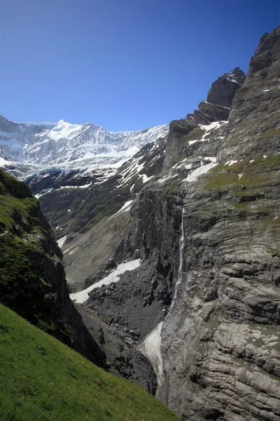 Grindelwald glacier and Fiescherhorn mountain — Stock Photo, Image