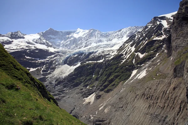 Grindelwald glacier — Stock Photo, Image