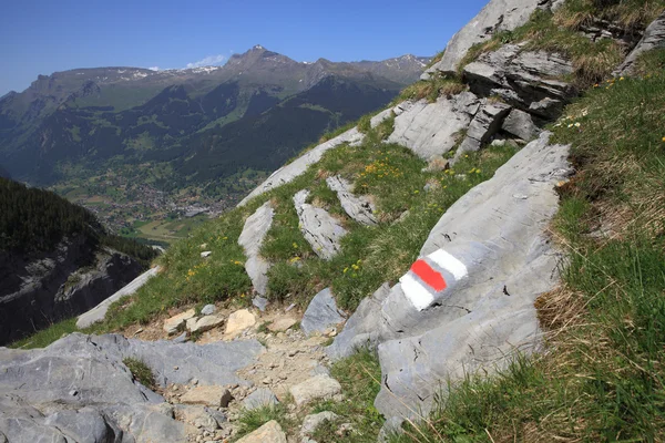 Alpina vandringsled — Stockfoto