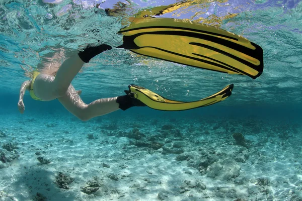 Snorkelen — Stockfoto