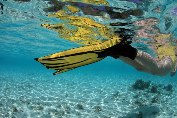 Snorkelen — Stockfoto