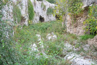 Antik Yunan Ölüler Sokağı, ya da Syracuse, Sicilya 'daki Sepulchral Caddesi, her iki tarafında da taş mezarları ve mezar taşları olan. Fena halde büyümüş..