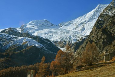 Alphubel 'de kar ve buz İsviçre Alplerinde Saas Ücreti üzerinde, ön planda karaçam ormanları ile