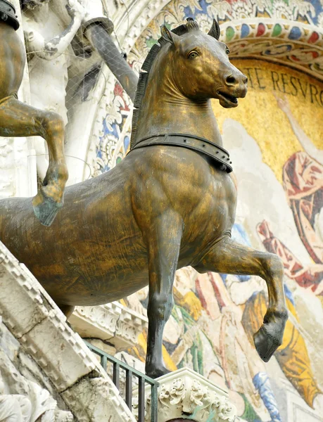 Бонзами коней базиліки Святого Марка — стокове фото