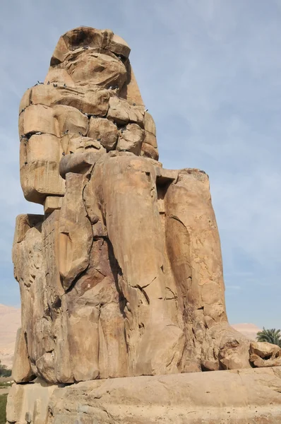 The whistling colossus of Memnon
