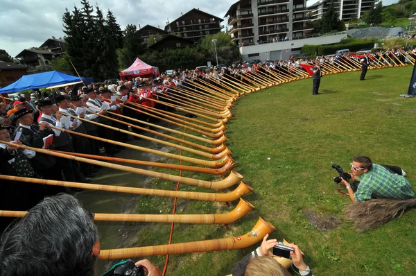 Alpine Horn Festival — Stock Photo, Image