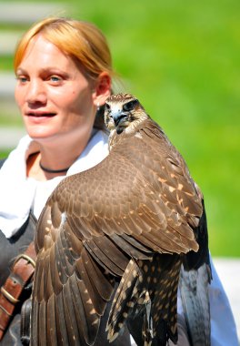Sakers Şahin ile kadın falconer