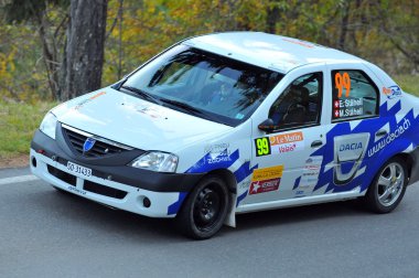 İsviçre araba ralli 