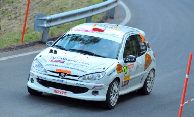 İsviçre araba ralli 