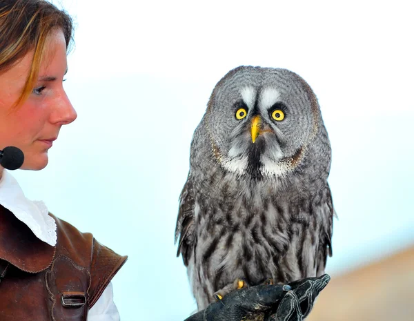 Falconer hembra con gran búho gris — Foto de Stock