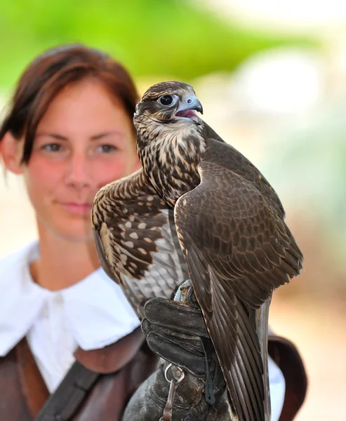 Lady en de hawk — Stockfoto