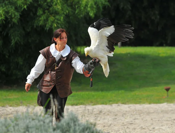 Pharaos Huhn in der Hand — Stockfoto