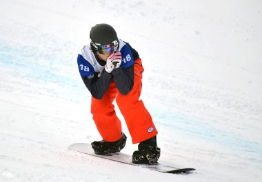 FIS Snowboard Dünya Kupası Snowboard kros
