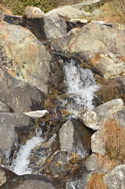 güçlü Ren Nehri kaynak