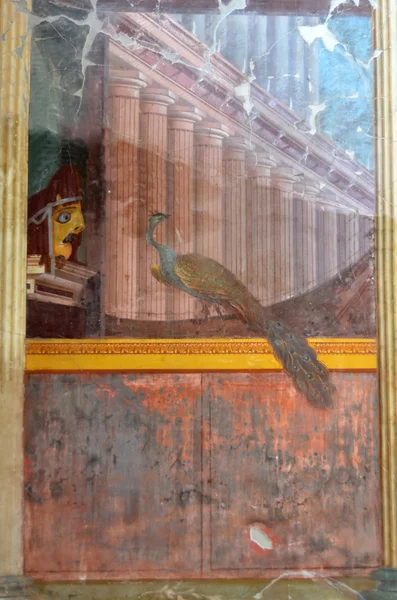 Roman Freso of peacock — Stockfoto