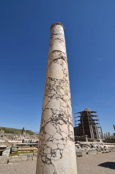 Impresionante columna de mármol moteado — Foto de Stock