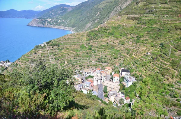 El pueblo de Manarola en Cinque Terre — Foto de Stock