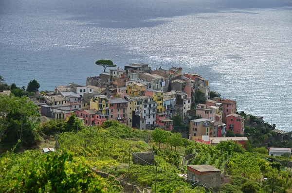 Bellissimo borgo di Corniglia — Foto Stock