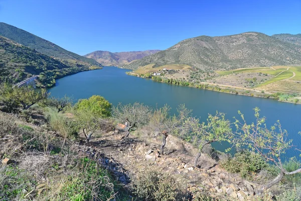 Le fleuve Douro dans le nord du Portugal — Photo