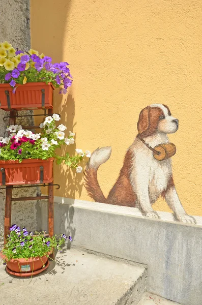 Afresco italiano de um cão de São Bernardo — Fotografia de Stock
