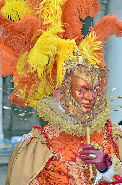 Magnífica máscara de carnaval — Foto de Stock