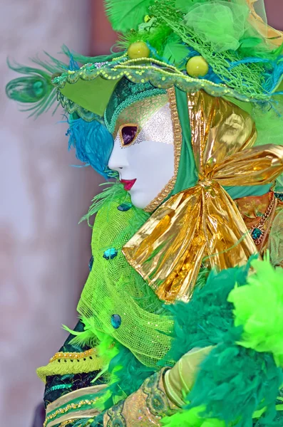 Fato de Carnaval mascarado em verde — Fotografia de Stock