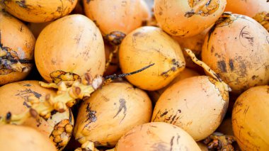 Altın kral hindistan cevizi, bir yığın çiğ ve olgun hindistan cevizi. Hindistan cevizi yağı, Asya 'da meyve pazarı, Çin' de Hainan Adası..