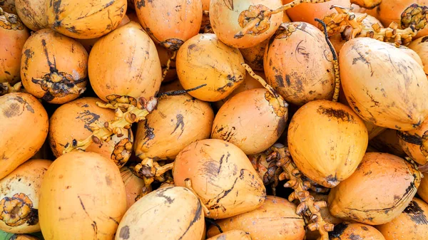 Des Noix Coco Dorées Tas Noix Coco Crues Mûres Ingrédient Photo De Stock