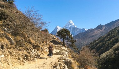 Tengboche, Nepal - Ekim 2018: Ama Dablam Everest Ana Kampı 'na giden yolda, yerel Şerpa kadını dağlarda orman ve manzara taşır.