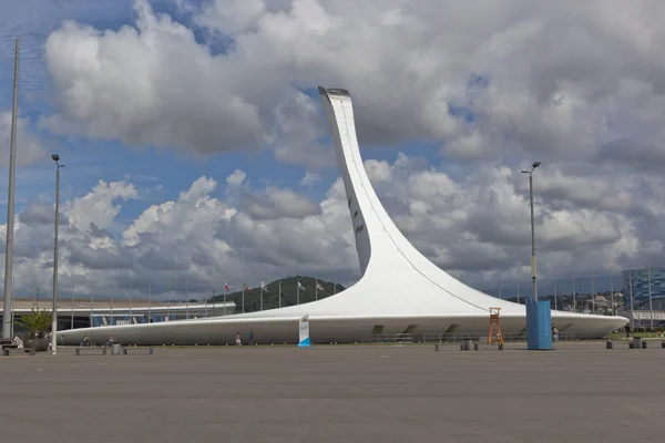 Kom van de Olympische toorts in het Olympisch Park Sotsji — Stockfoto