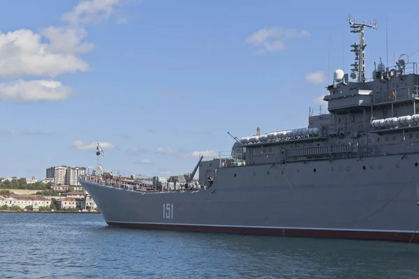 Sebastopoli Crimea Luglio 2020 Grande Nave Sbarco Azov Nella Baia Immagine Stock