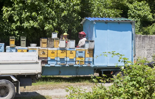 Mobiles Bienenhaus — Stockfoto