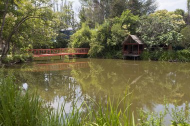 Göl divnoe. lazarevskoye sochi, Rusya Federasyonu