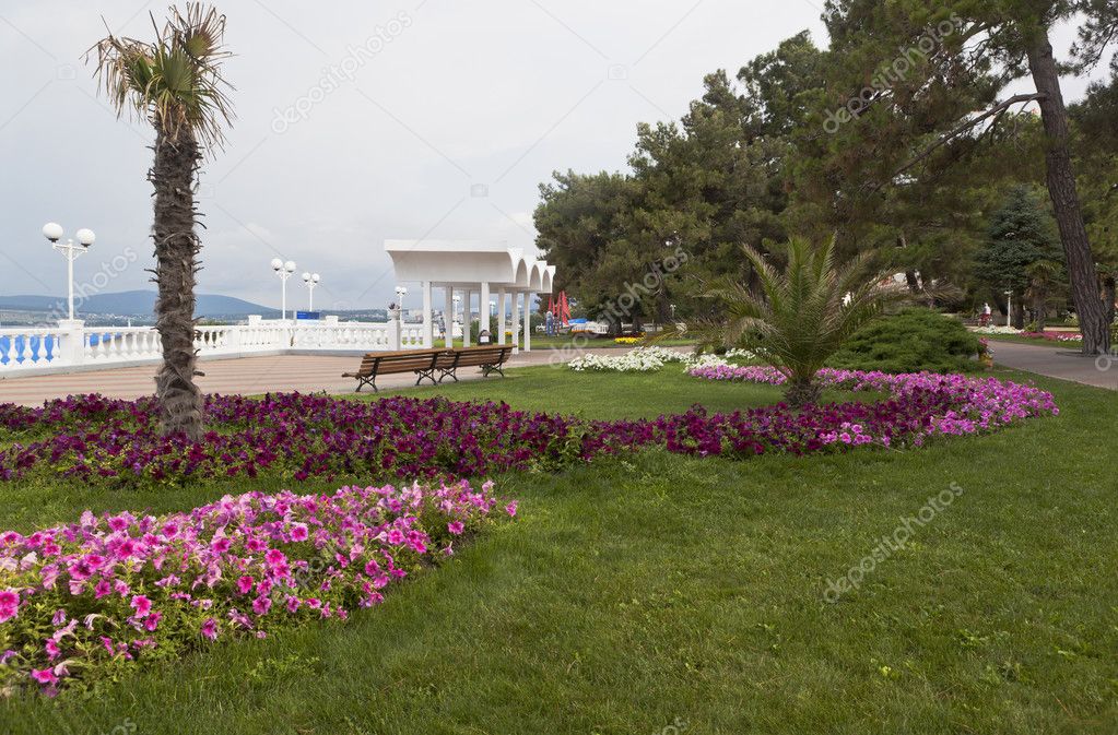 Earlier summer morning on the promenade of the resort Gelendzhik, Krasnodar egion, Russia