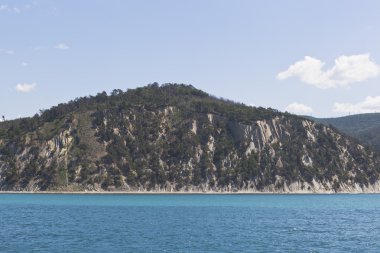 Pitsunda çam ağaçlarının bir kayalık sahil resort yerleşim Dzhanhot Gelendzhik bölge Krasnodar bölgesi, Rusya yakın