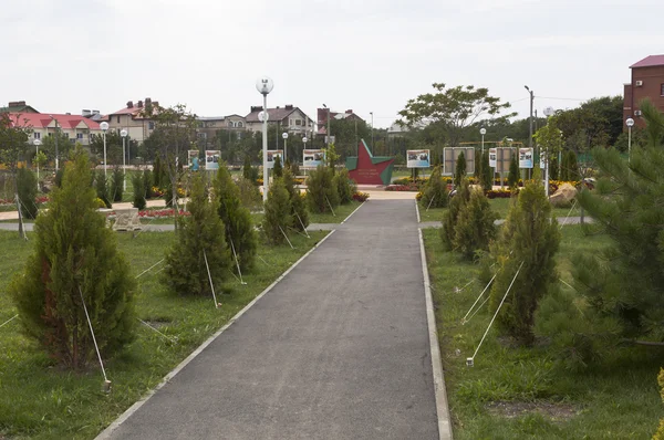 Aleja Parku Lat Zwycięstwa Ośrodku Miasta Gelendzhik Krasnodar Region Rosja — Zdjęcie stockowe