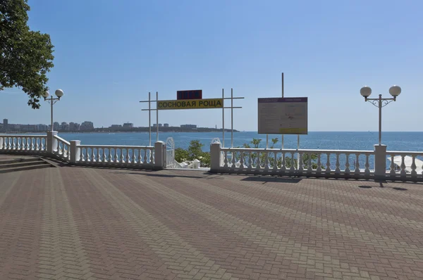 Gelendzhik Krasnodar Region Russia July 2015 Entrance Beach Sanatorium Pine — Stock Photo, Image