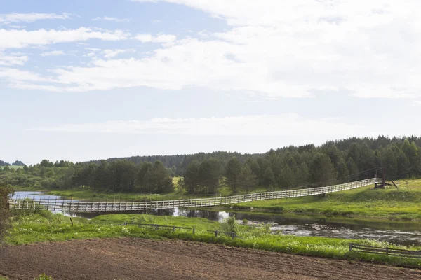 Uitzicht Hangbrug Rivier Vaga Dorp Lipki Verkhovazhsky District Regio Vologda — Stockfoto