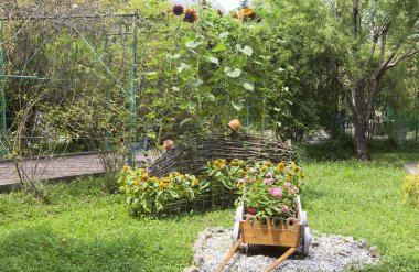Dederkoy, Tuapse bölgesi, Krasnodar bölgesi, Rusya Federasyonu - 14 Temmuz 2013: emeklilik yeşil adam peyzaj