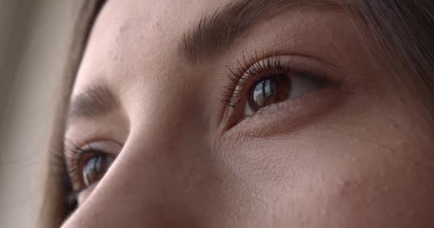 Gyönyörű barna női szemek vékony szempillákkal és tökéletesen kialakított szemöldökkel. Közelkép a női arcról. A természetes szépség részletei. — Stock videók