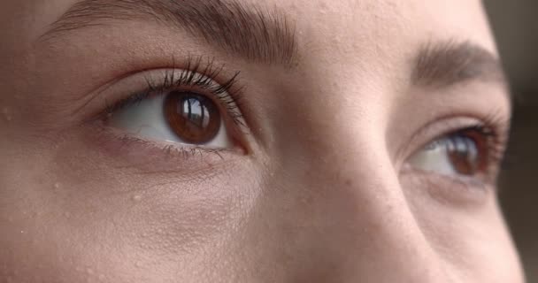 Κοντινό πλάνο της βαθιάς εμφάνισης της γυναίκας με όμορφο καστανό μάτι. Μακρο-πορτρέτο ομορφιάς. Λεπτομέρειες για το γυναικείο πρόσωπο. — Αρχείο Βίντεο
