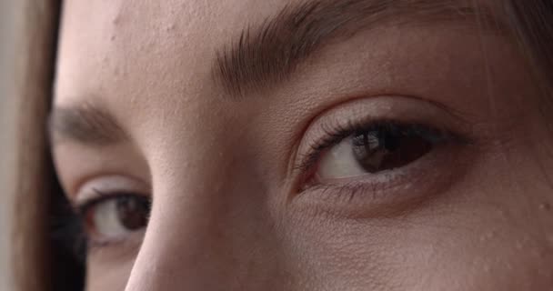 Close up de olhos castanhos femininos com sobrancelhas e cílios precisos. Detalhe da pele de mulher jovem. Olhar fresco. — Vídeo de Stock